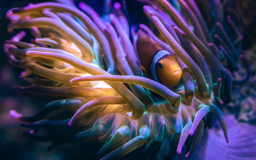 16 wichtige Fragen zu Unterwasser Wasserfall Aquarium