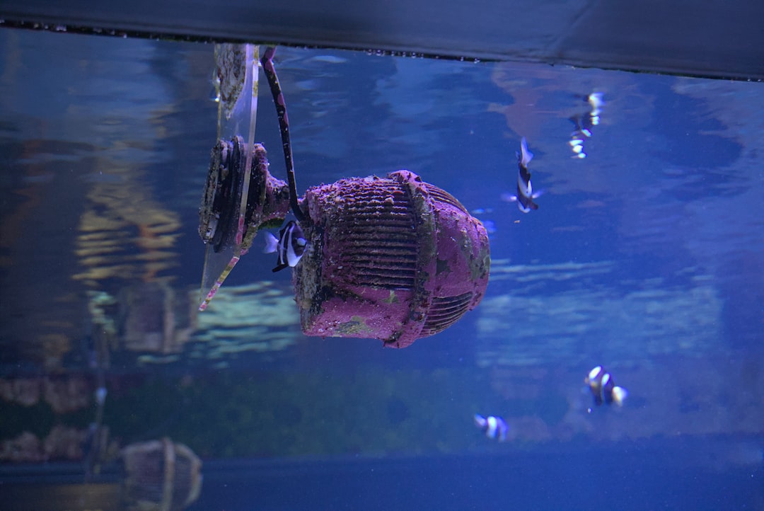 21 wichtige Fragen zu How Thick Should Aquarium Lid Be?