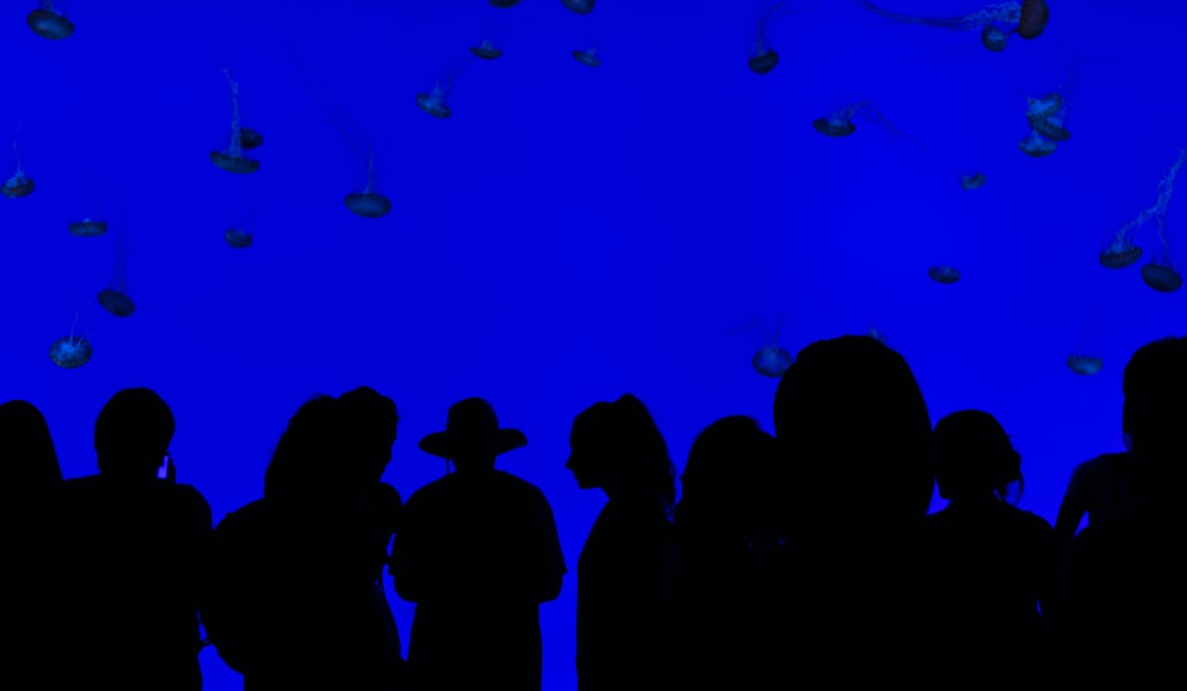 22 wichtige Fragen zu How Do Wall Mounted Aquariums Work?