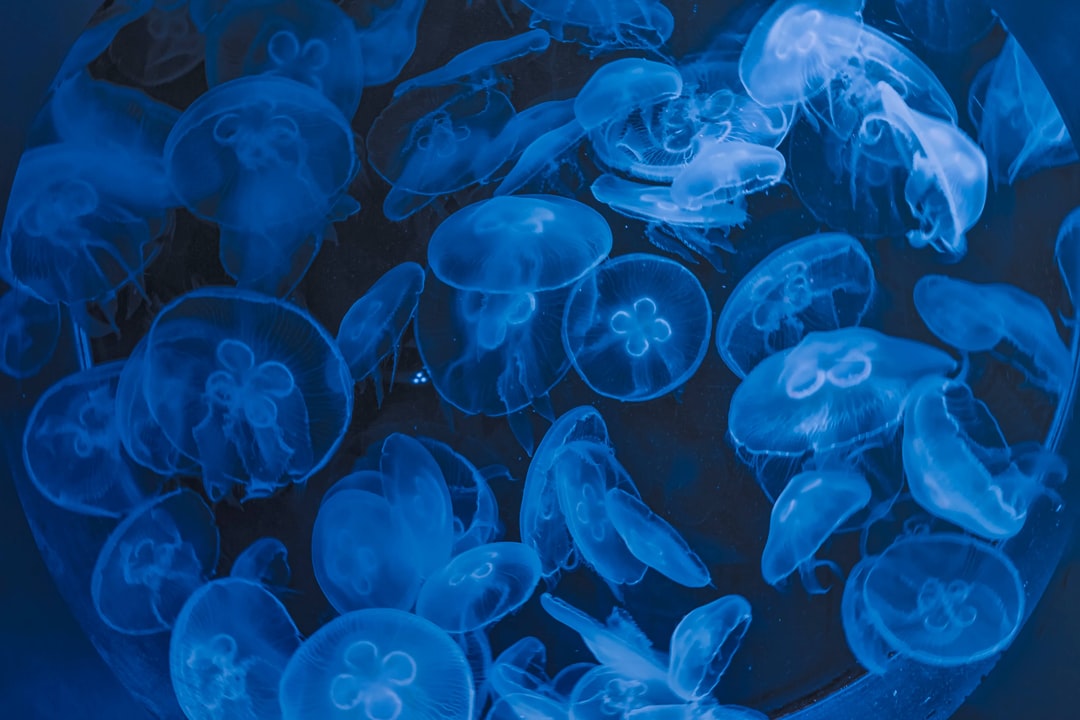 23 wichtige Fragen zu Cyanobakterien Aquarium Bekämpfung