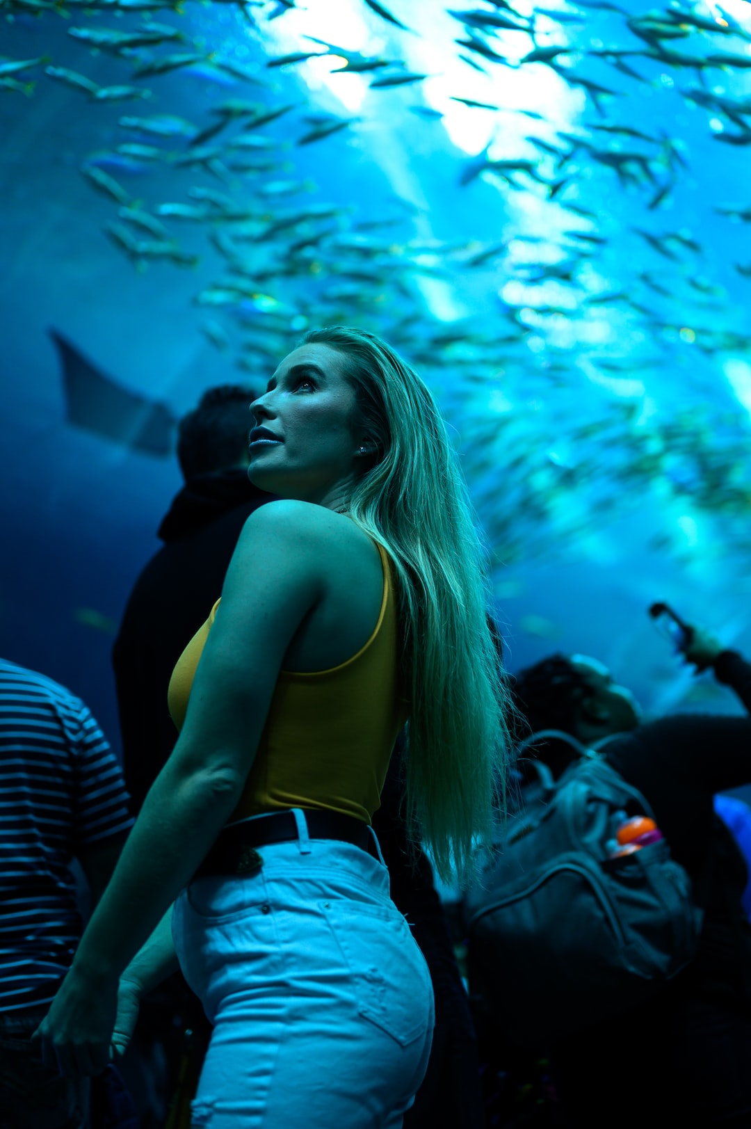 25 wichtige Fragen zu Wie Viel Grad Brauchen Aquarium Fische?