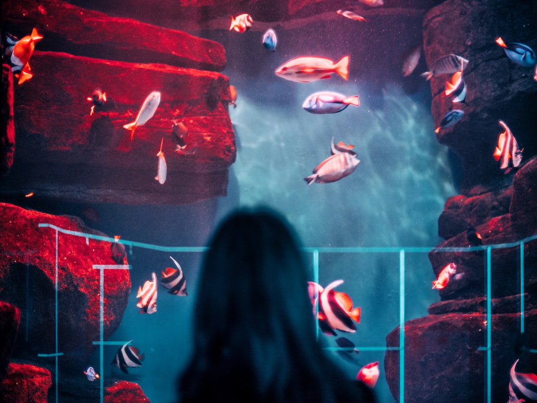 25 wichtige Fragen zu Wie Viele Verschiedene Schwärme Aquarium?