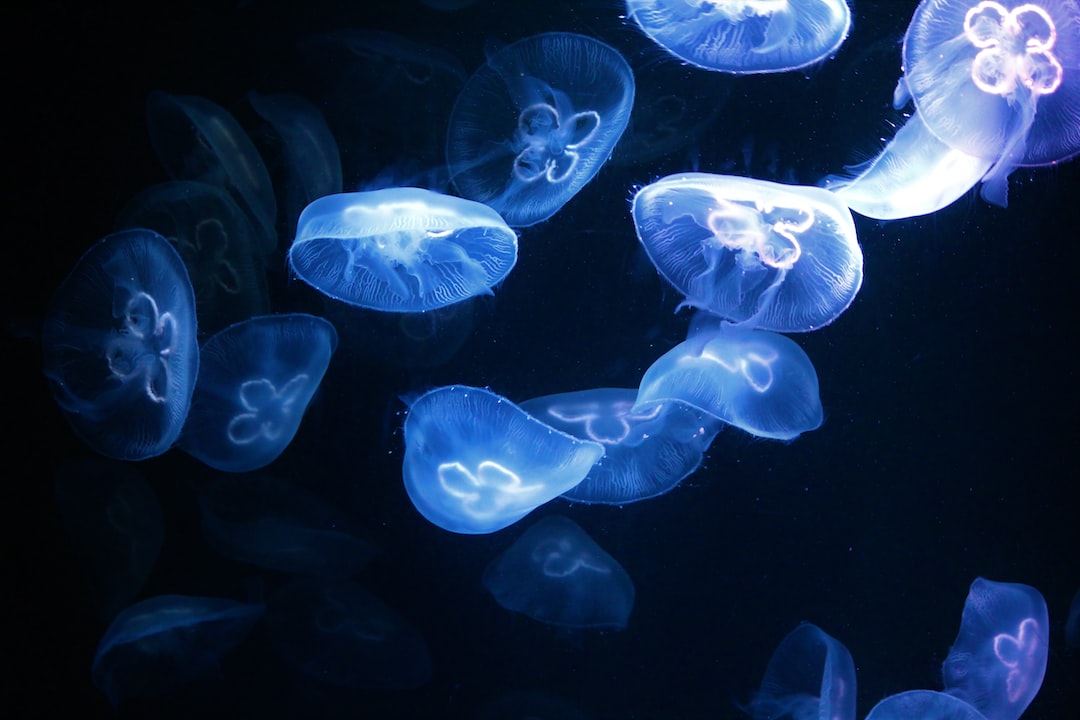 25 wichtige Fragen zu 4000 Liter Aquarium