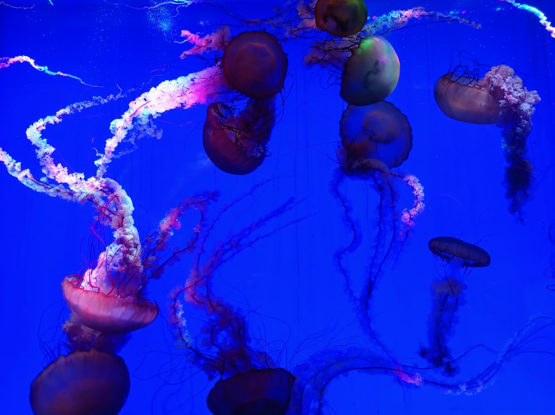 25 wichtige Fragen zu Warum Wird Das Wasser Im Aquarium Weniger?