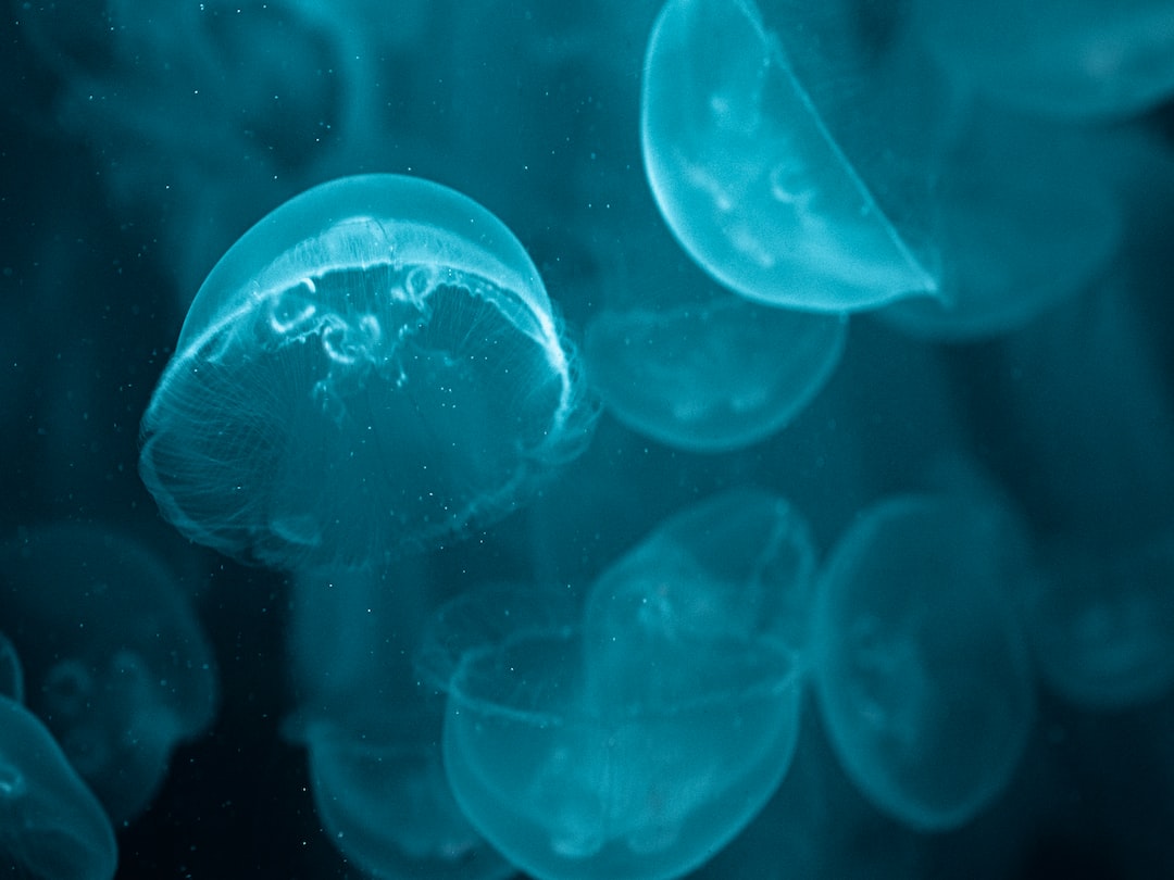 25 wichtige Fragen zu Warum Keine Algen Im Aquarium?