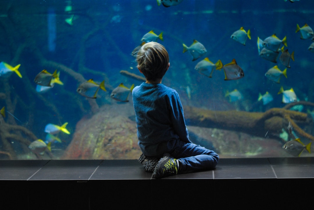 25 wichtige Fragen zu Torf Für Aquarium