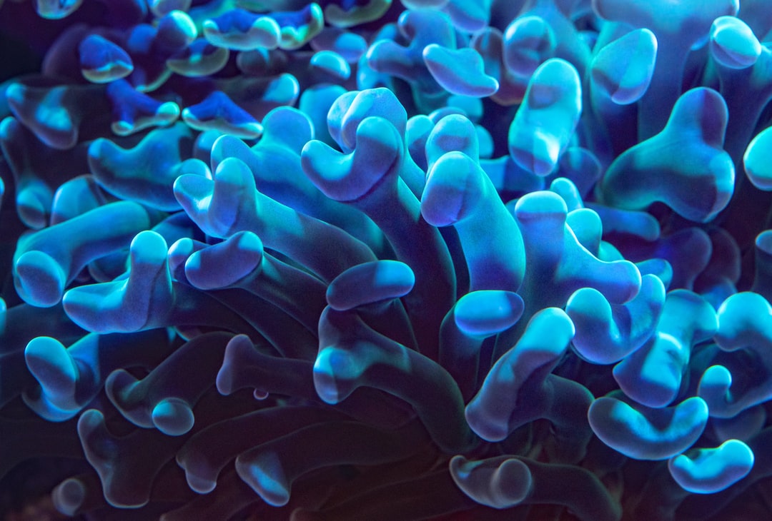 25 wichtige Fragen zu Schwimmende Pflanzen Aquarium