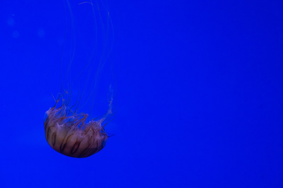 21 wichtige Fragen zu Schimmel Aquarium