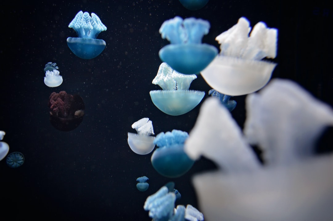 22 wichtige Fragen zu Welche Led-Beleuchtung Im Aquarium?
