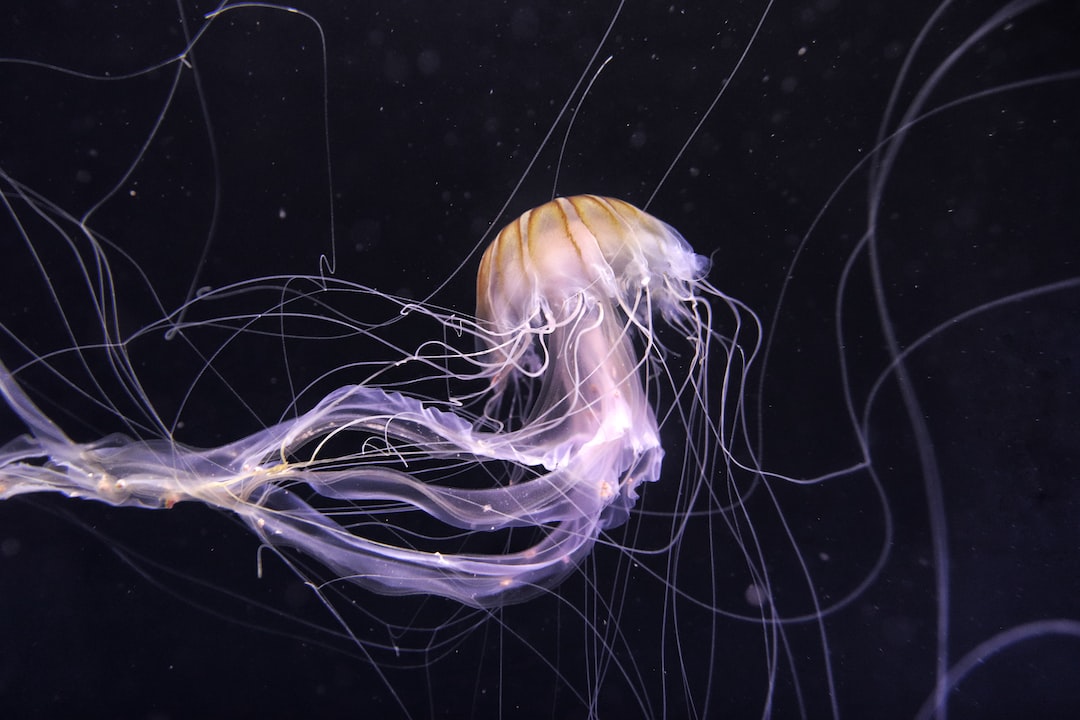 24 wichtige Fragen zu Is Tempered Glass Good For Aquarium?