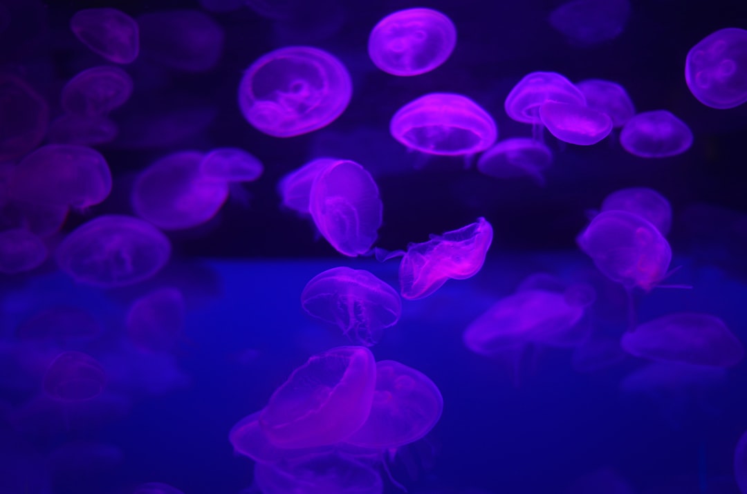25 wichtige Fragen zu Welche Körnung Für Aquariumsand?