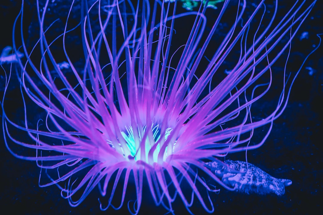 25 wichtige Fragen zu Wie Lange Laub Im Aquarium Lassen?