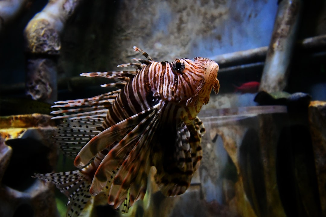 21 wichtige Fragen zu Aquarium Vliesfilter