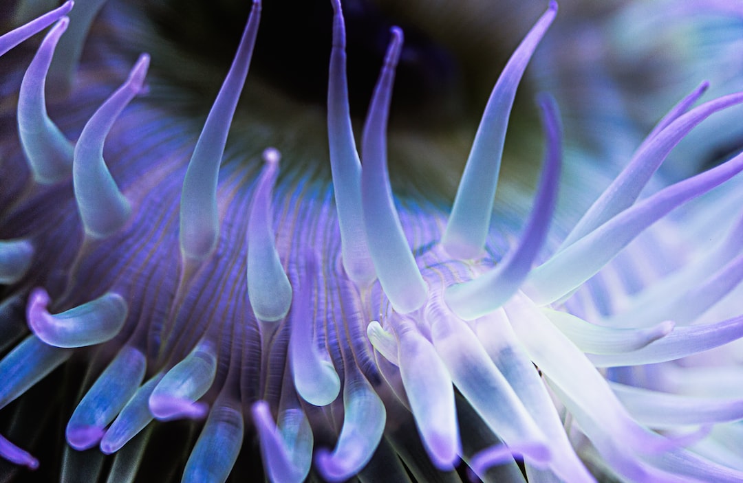 21 wichtige Fragen zu Flaches Aquarium
