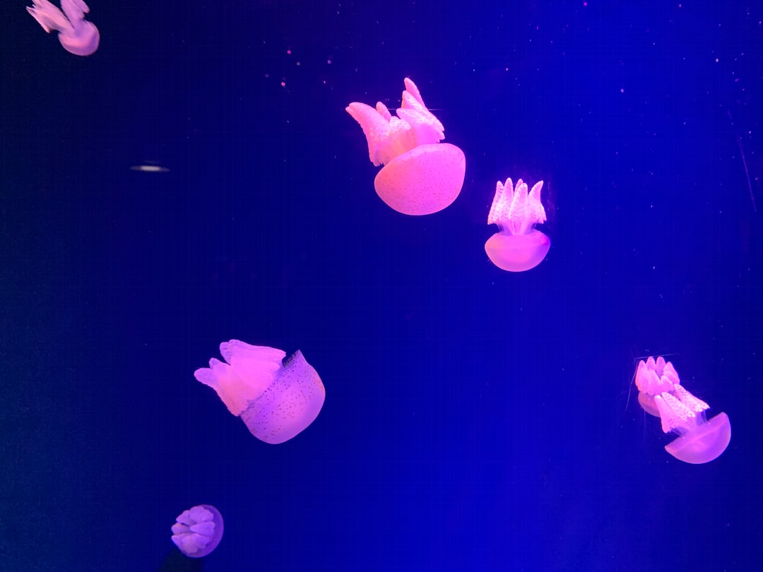 21 wichtige Fragen zu Juwel 200 Liter Aquarium