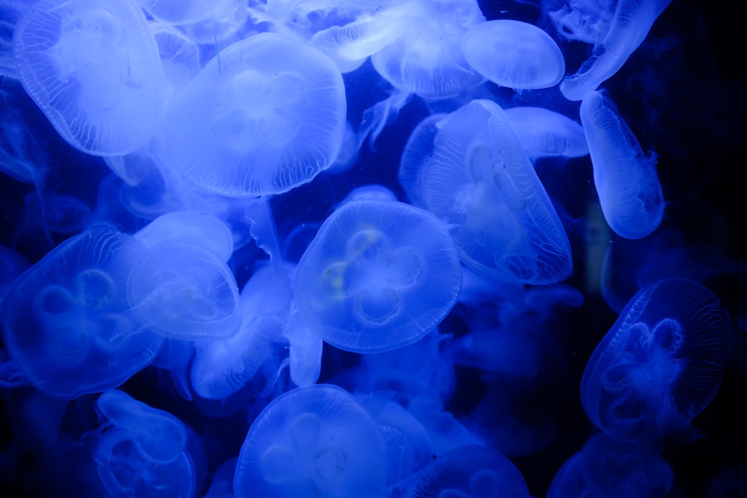21 wichtige Fragen zu Woher Kommen Fadenwürmer Im Aquarium?