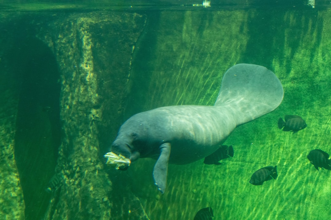 21 wichtige Fragen zu Kh Wert Aquarium Optimal