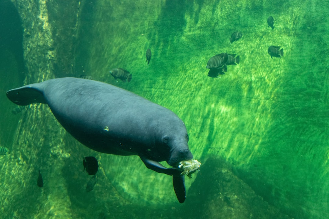 22 wichtige Fragen zu Aquarium Anfertigen Lassen