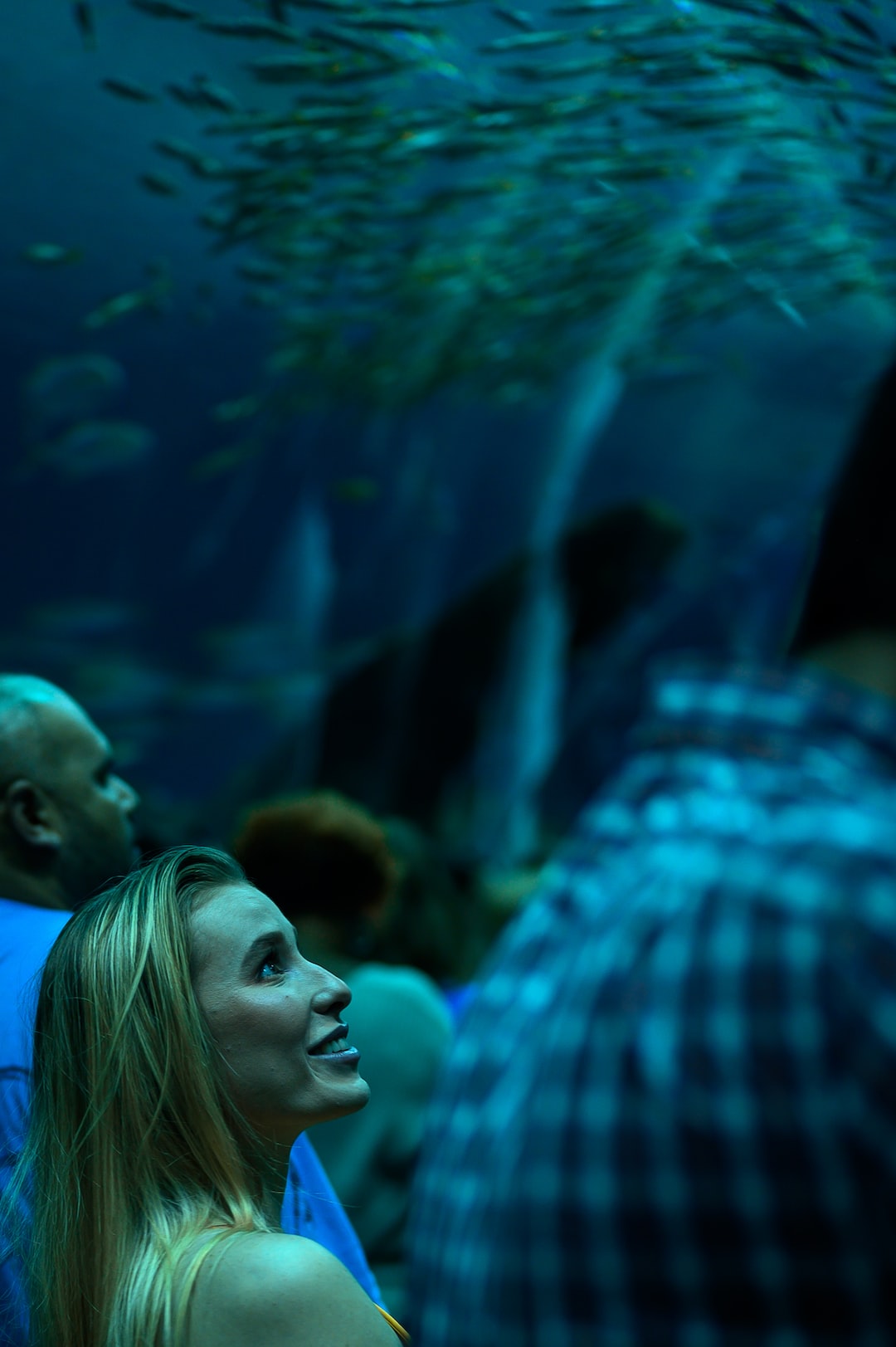 22 wichtige Fragen zu How Do You Drill An Aquarium For A Sump?