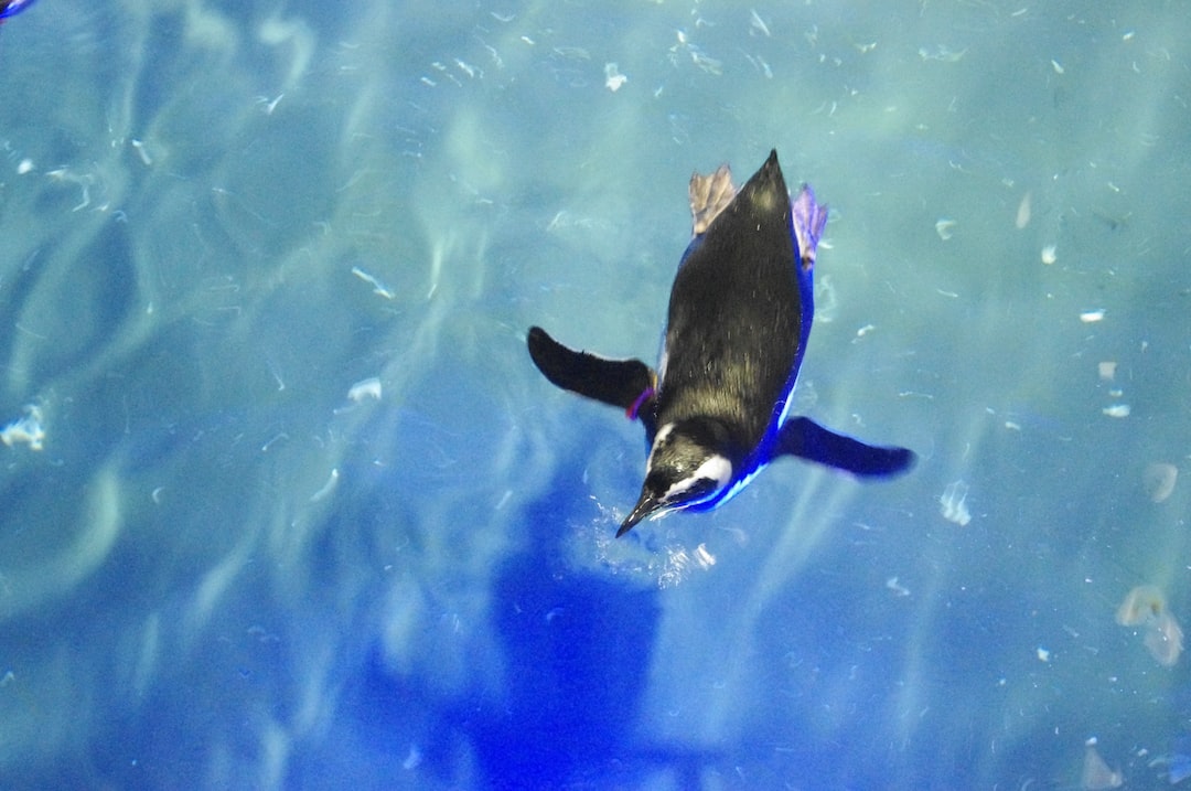 22 wichtige Fragen zu Fische Sterben Im Aquarium Trotz Guter Wasserwerte