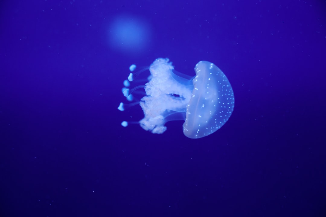 22 wichtige Fragen zu Abdeckungen Aquarium