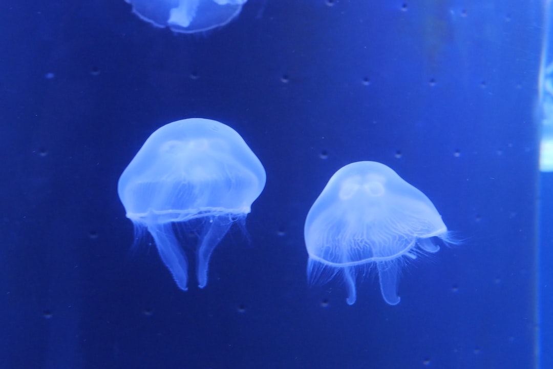 22 wichtige Fragen zu Aquarium Wasserwerte Elektronisch Messen