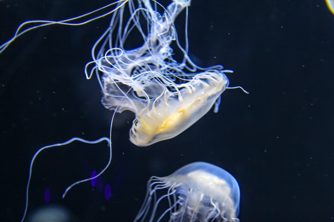 22 wichtige Fragen zu Sind Fadenwürmer Im Aquarium Gefährlich?