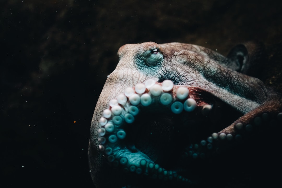 22 wichtige Fragen zu Aquarium Dubai