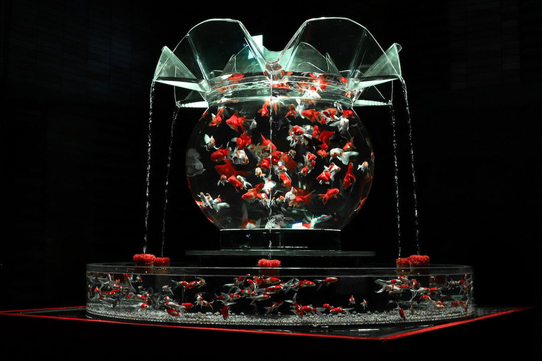 22 Erstaunliche Informationen zu Wie Viele Antennenwelse In Das Aquarium?