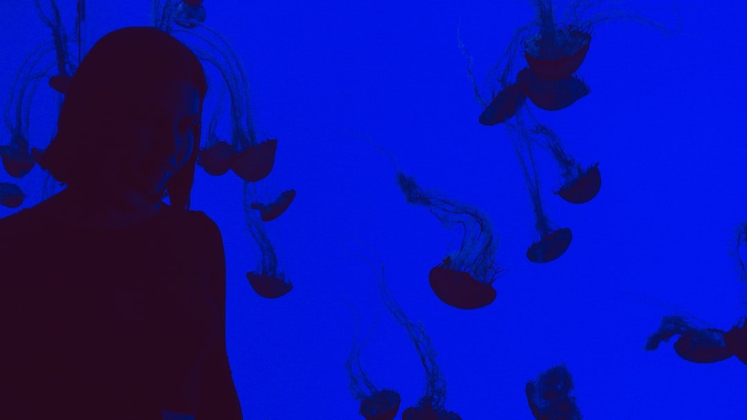 22 wichtige Fragen zu Blaualgen Im Aquarium