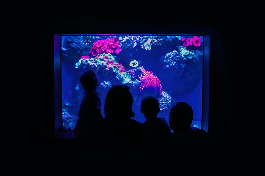 22 wichtige Fragen zu Aquarium Beleuchtung Led Röhren