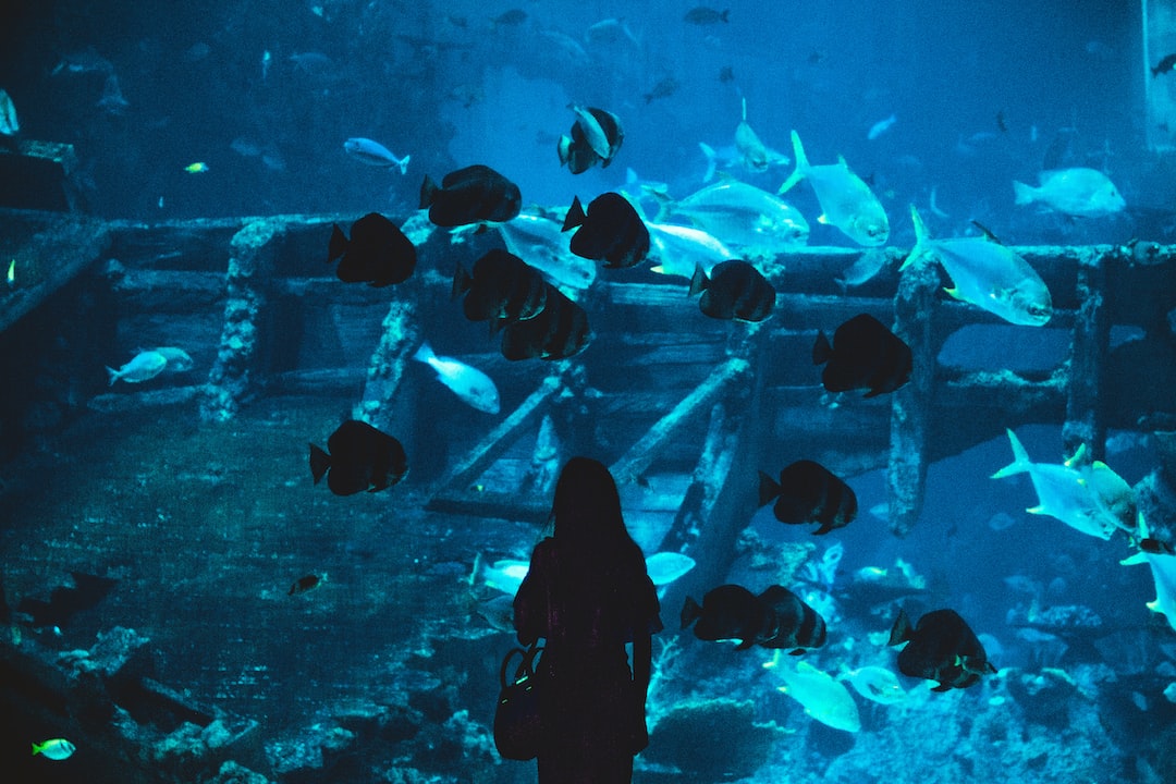 22 wichtige Fragen zu Aquarium Fische Asien