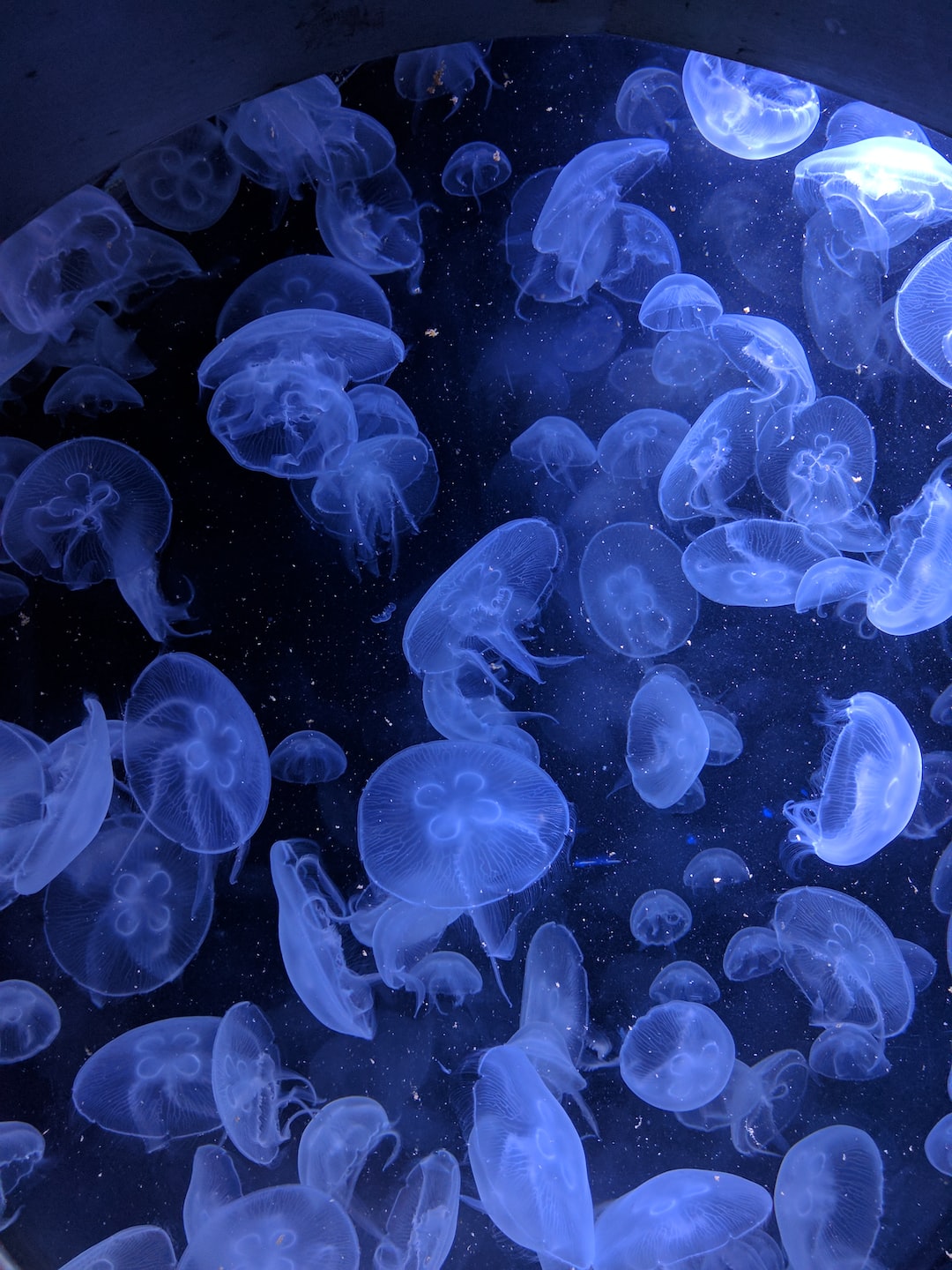 22 wichtige Fragen zu Wasserwerte Aquarium Tabelle