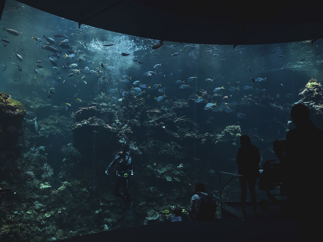 Aquarium Wallpaper