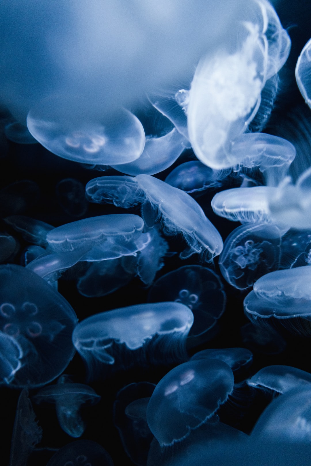 22 wichtige Fragen zu Nano Meerwasser Aquarium