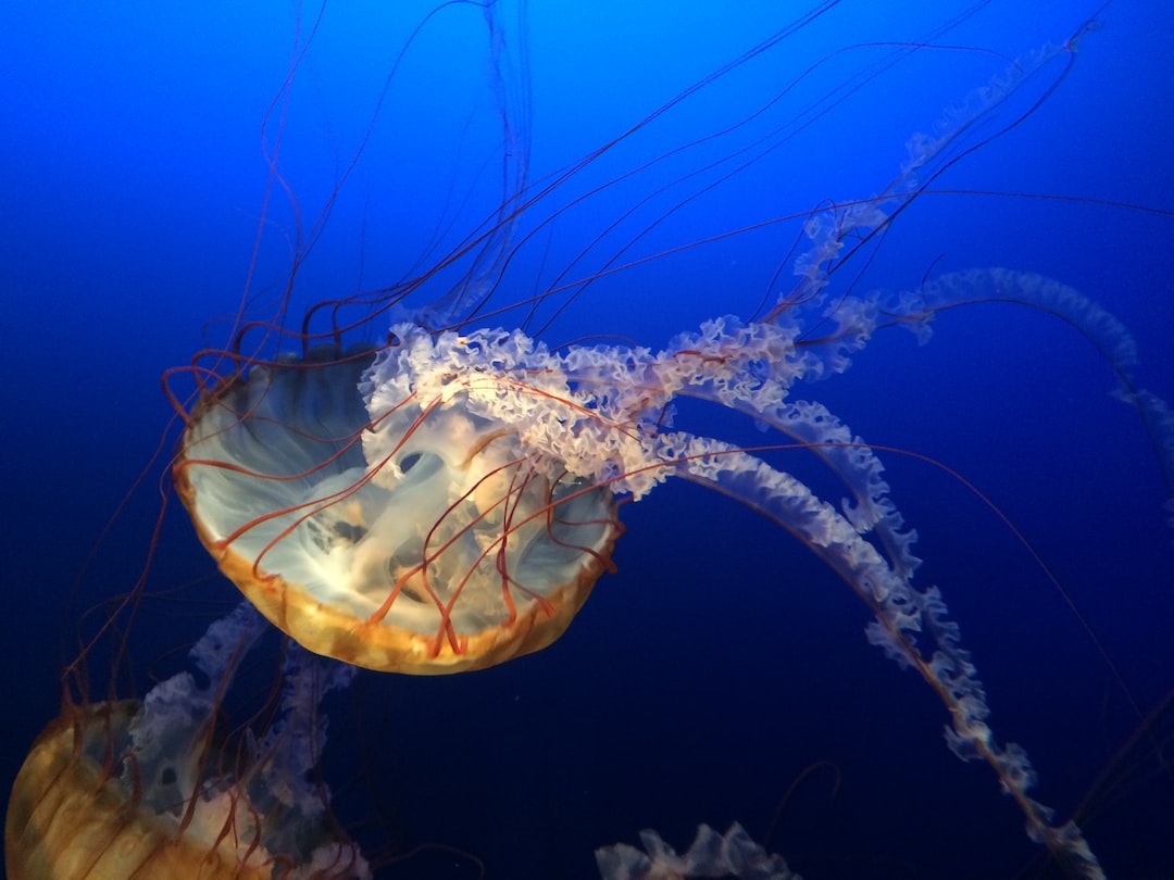 22 wichtige Fragen zu Wasserlinsen Aquarium