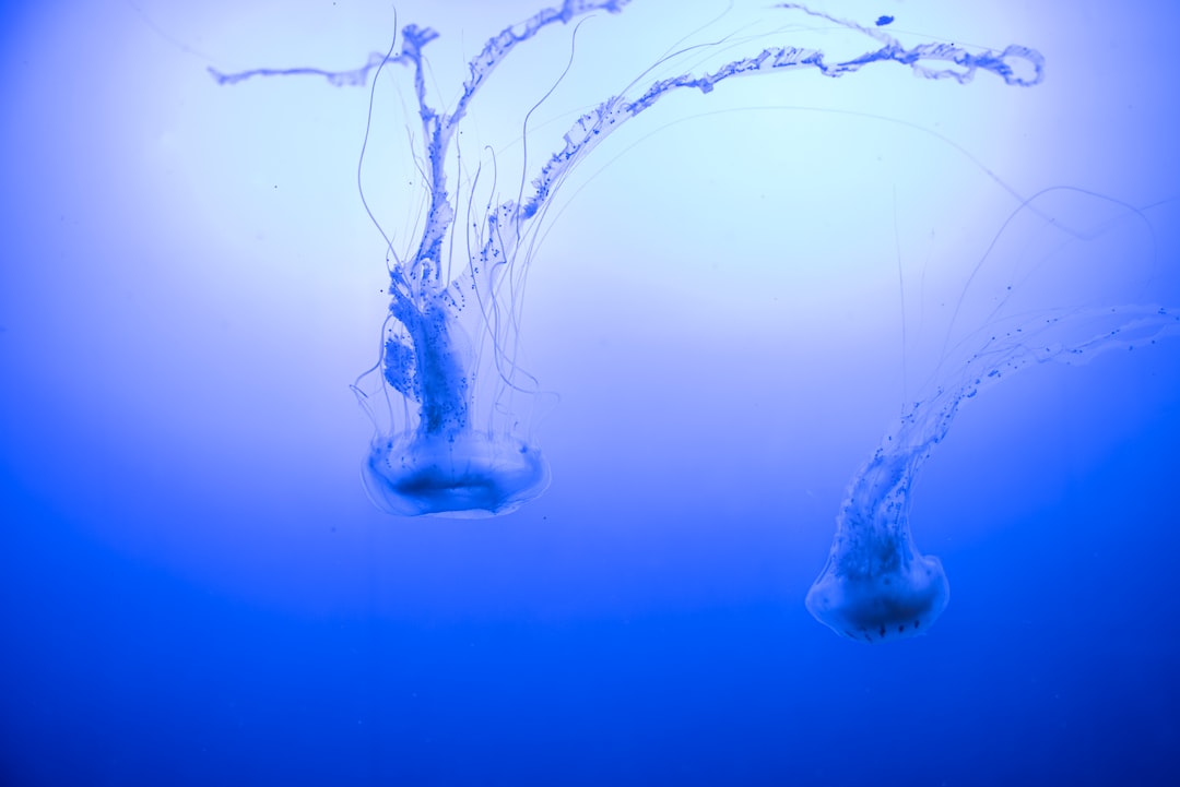 22 wichtige Fragen zu Led Aquarium Light