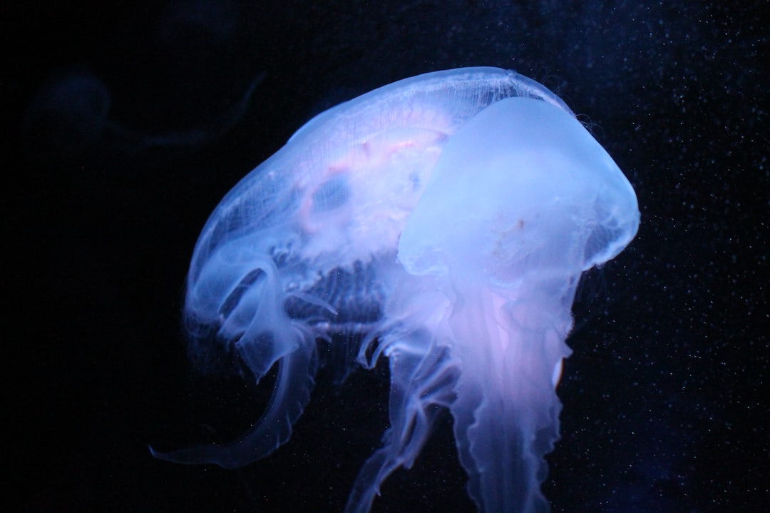 22 wichtige Fragen zu Sauerstoffgehalt Im Aquarium