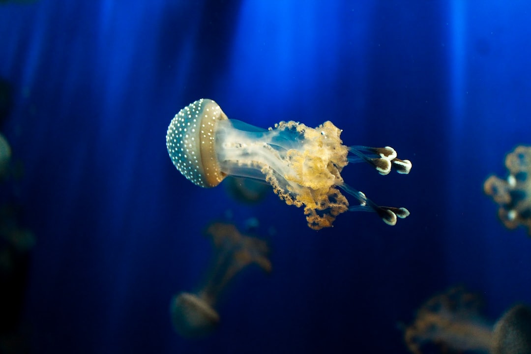 22 wichtige Fragen zu Aquarium Wassertest Digital
