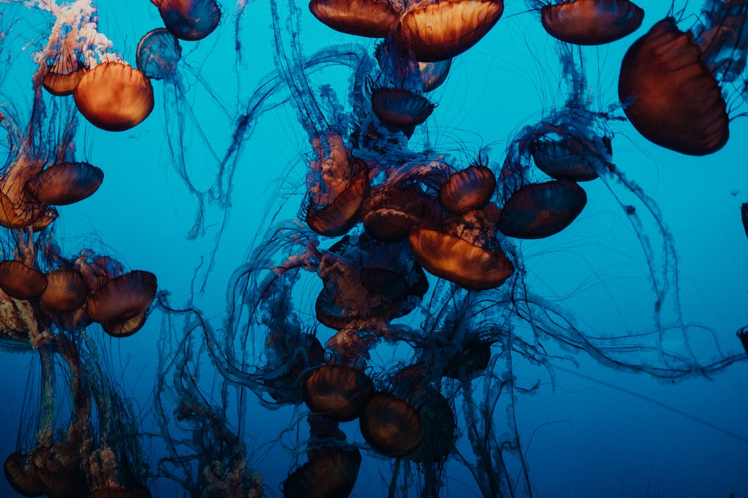 22 wichtige Fragen zu Kann Man Jedes Aquarium Für Meerwasser Nehmen?