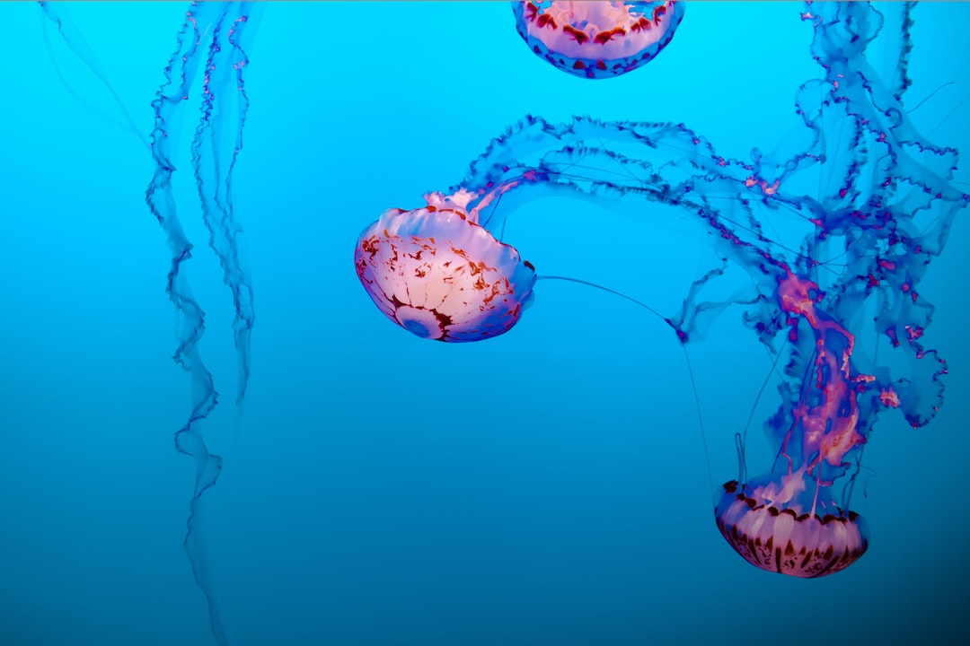 22 wichtige Fragen zu Magnetreiniger Aquarium