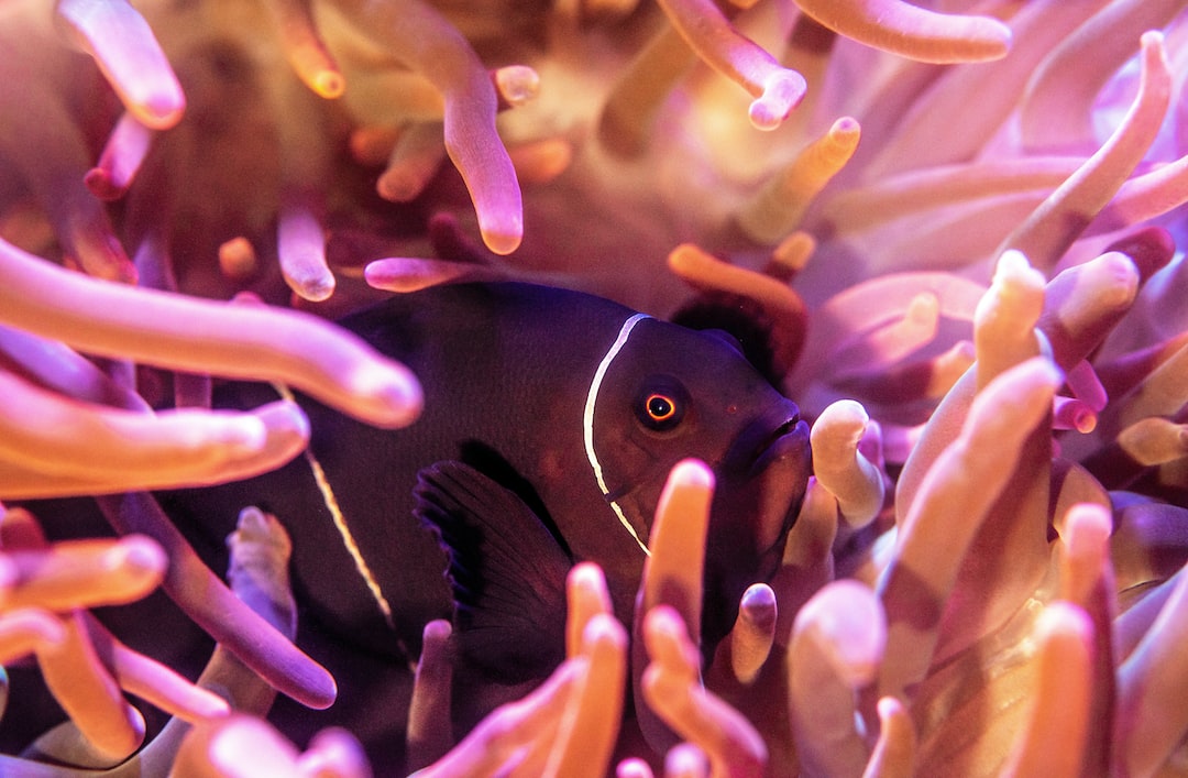22 wichtige Fragen zu Worms In Aquarium