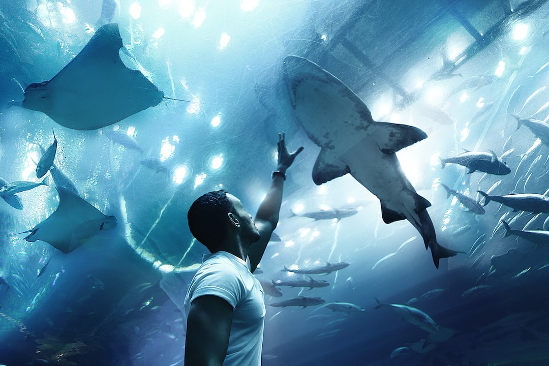 22 wichtige Fragen zu Sauerstoffgehalt Im Aquarium Messen