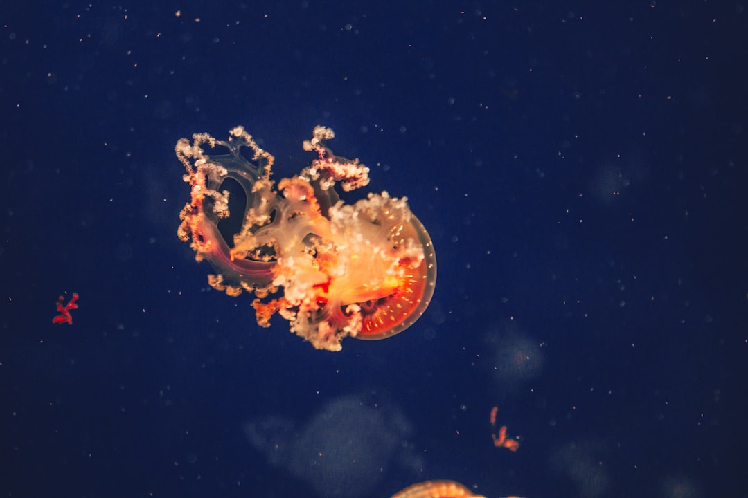 22 wichtige Fragen zu Rgb Led Aquarium