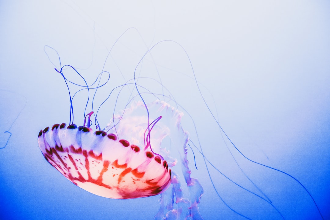 22 wichtige Fragen zu Krebse Und Fische Aquarium