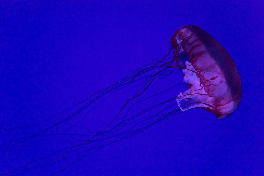 22 wichtige Fragen zu Led Aquarium Beleuchtung 120 Cm