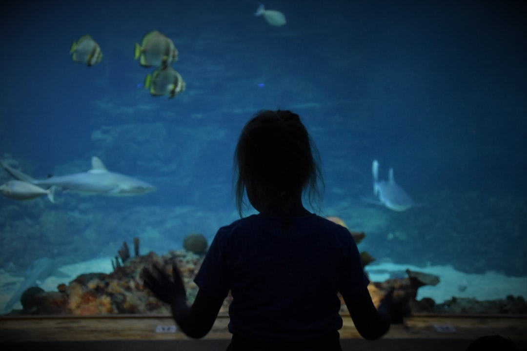 22 wichtige Fragen zu Wie Lange Aquarium Belüften?