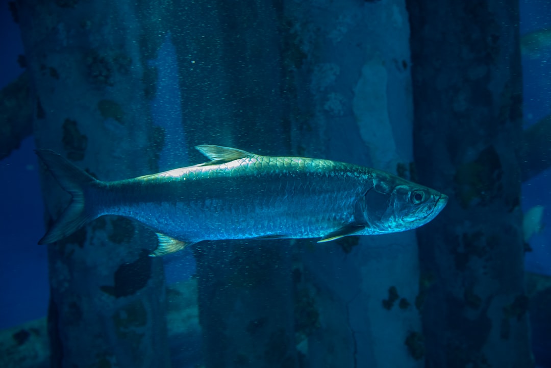 23 wichtige Fragen zu Nährboden Aquarium