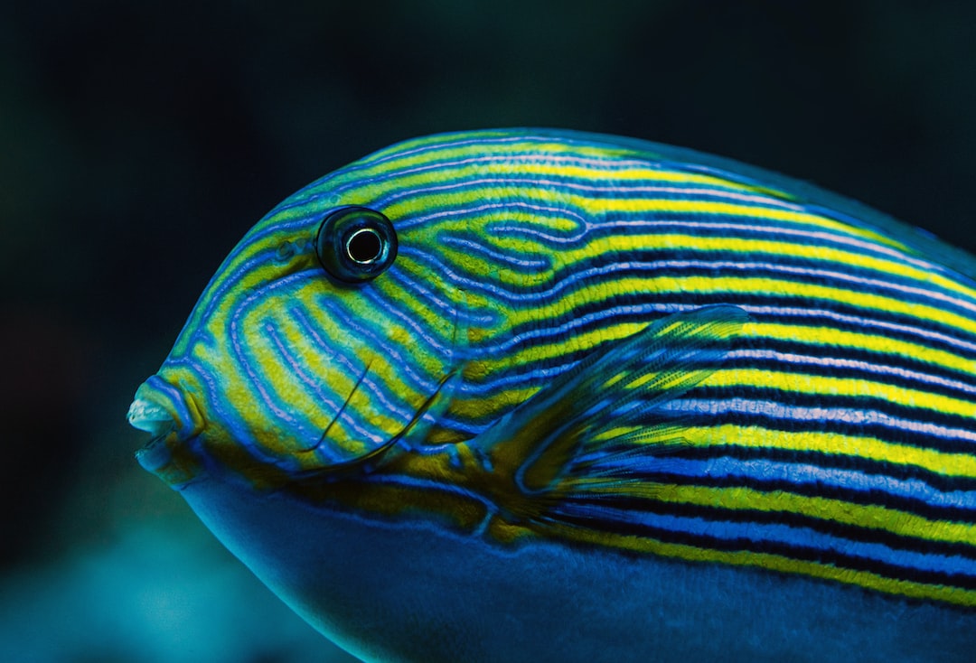 23 wichtige Fragen zu Aquarium Baumarkt