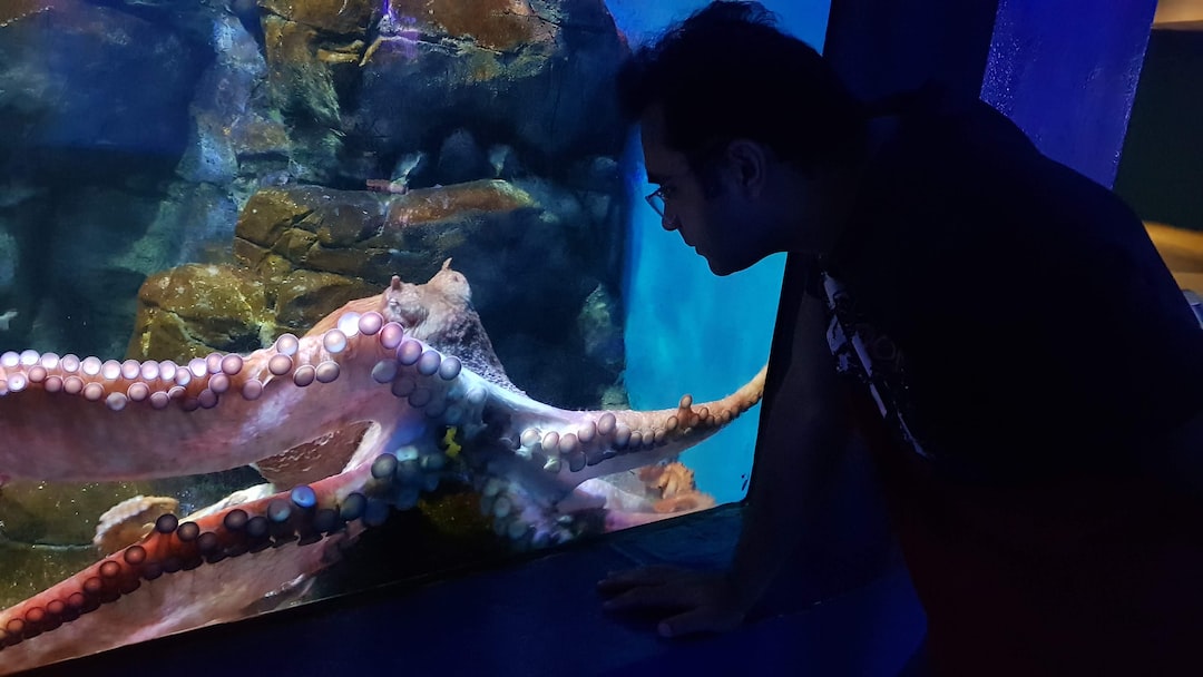 23 wichtige Fragen zu Mini Octopus Aquarium